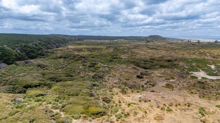 Lots 1-3 Hukatere Road Pukenui_9