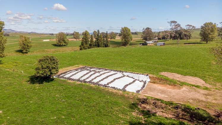 120 Pamotumotu Road Maihiihi_25