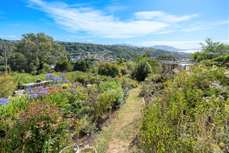 54 Waimea Avenue Calton Hill_17