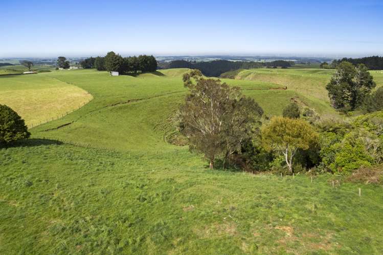 1253 Kohi Road Waverley_8