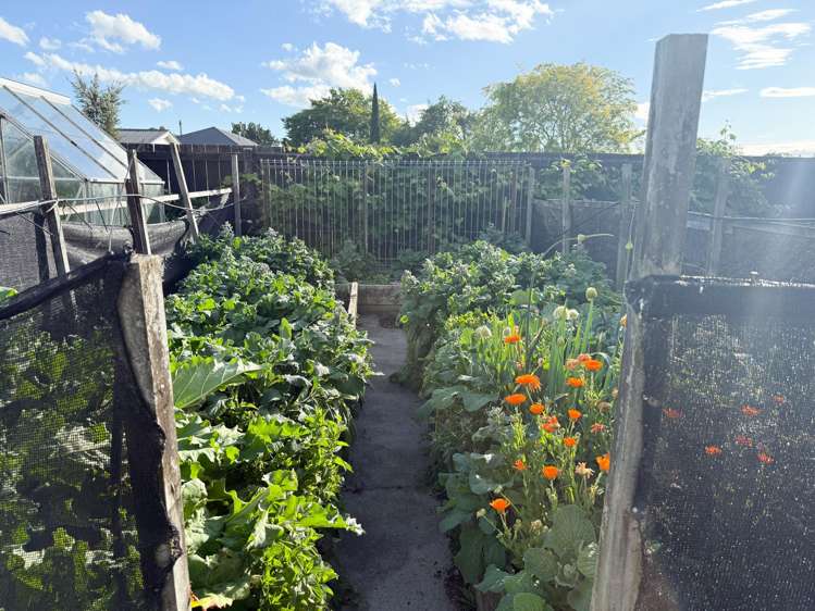 4 McKenzie Terrace Carterton_20