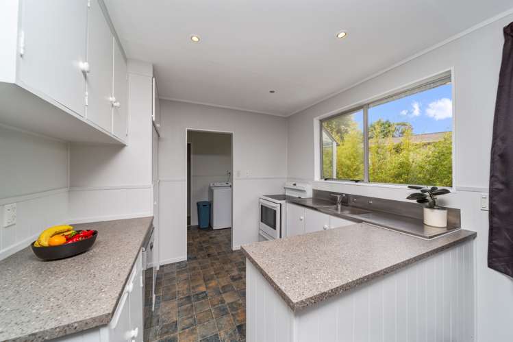 80f Mill Road Lower Vogeltown_5