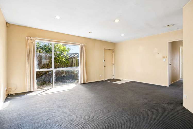 15B Waitangi Road_3