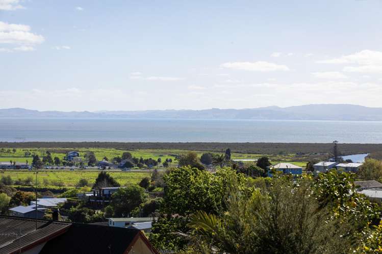 224 Reservoir Road Thames_23