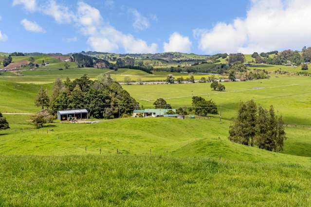 55 Kirikopuni Stn Road Tangiteroria_4