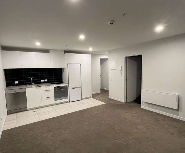 Modern Te Aro,  1 bedroom Apt - Central & Cozy!