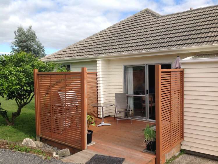 7 Goodwin Avenue Morrinsville_1