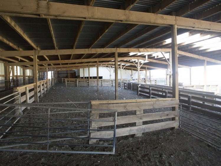 126 Mcphersons Road Taiko_17