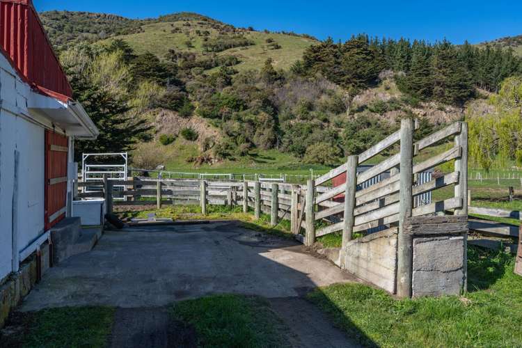 1234 Okains Bay Road Okains Bay_31