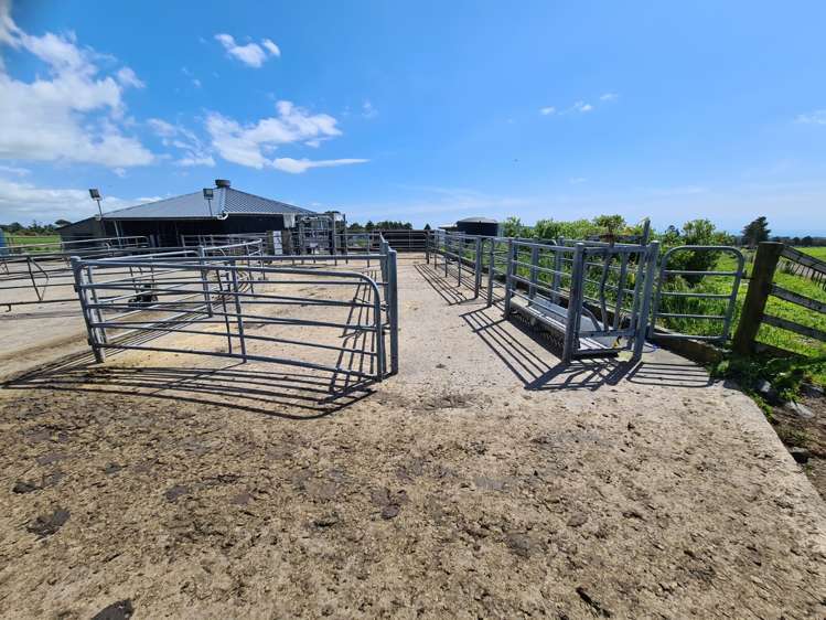 341 Puniho Road Newall_6