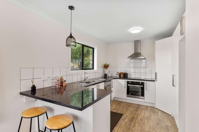 35 Elizabeth Street Levin_2