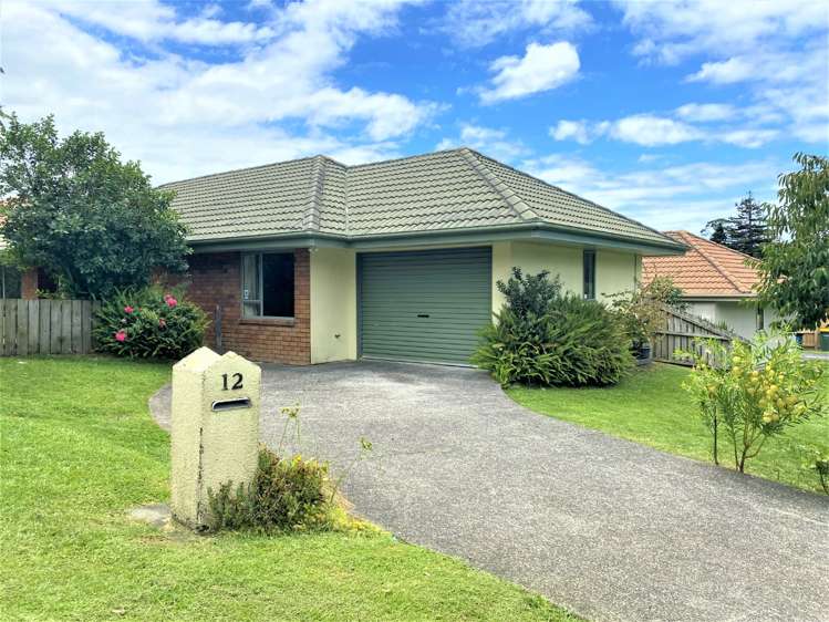 12 Cretian Crescent Henderson_0