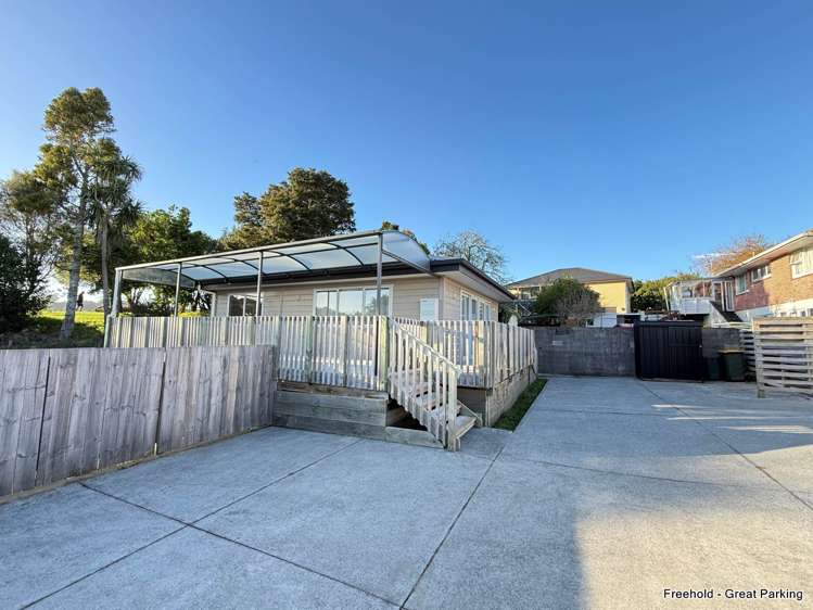 219A Birkdale Road_3