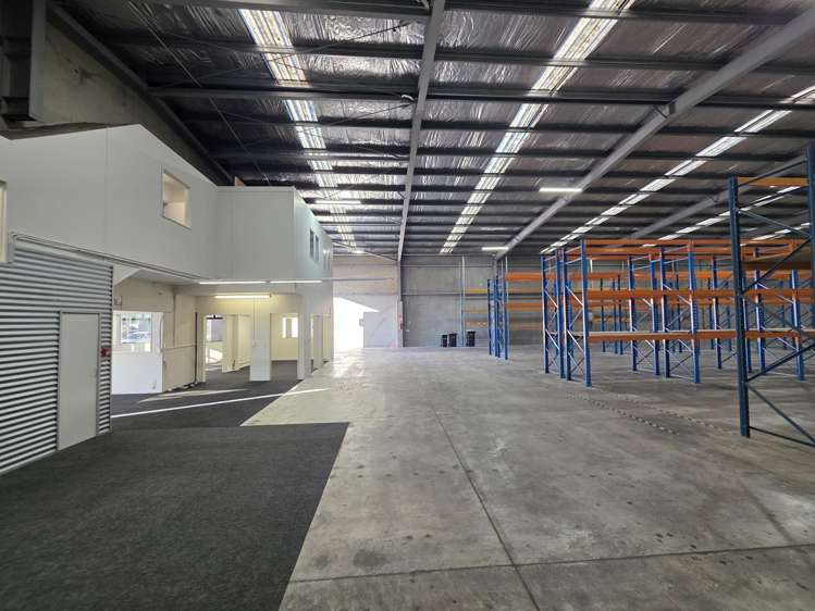 112 Carlyle Street Sydenham_13