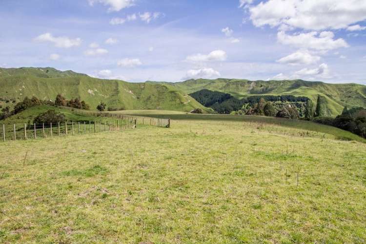 4064 State Highway 4 Kakatahi_16