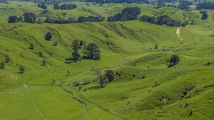 344 North Road Masterton_12