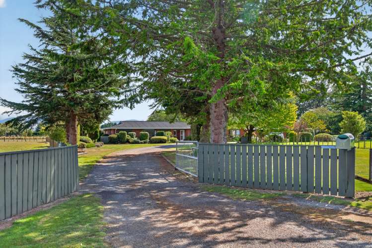 41 Willow Park Drive Masterton_34