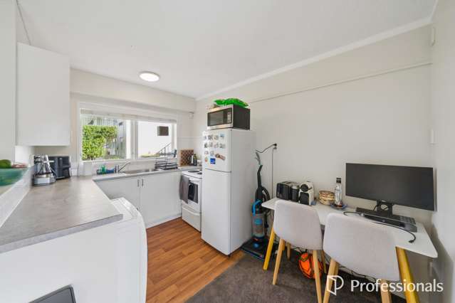 3/25 Britannia Street Petone_2