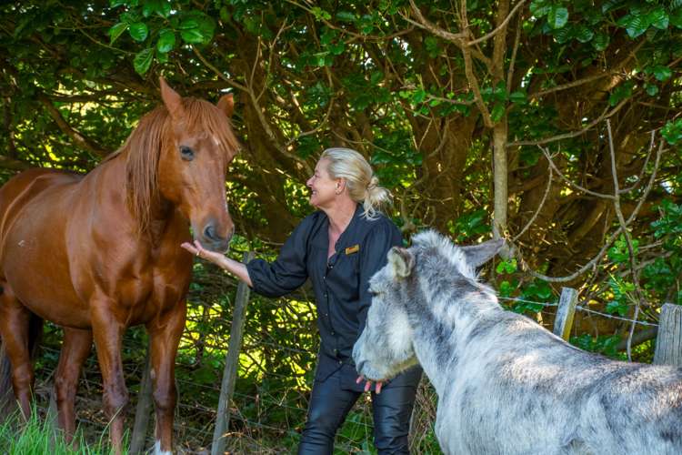 108 Te Puna Quarry Road Wairoa_21