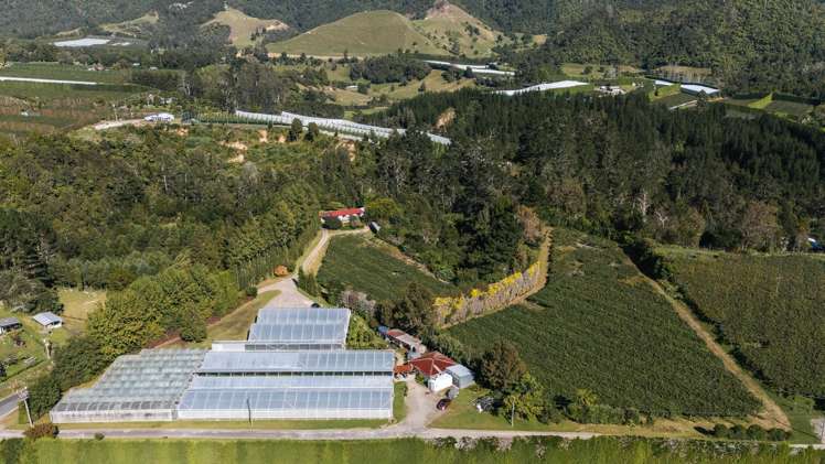 1164 No 3 Road Te Puke_3