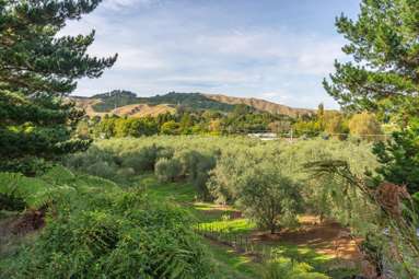 258 Waitohu Valley Road_3