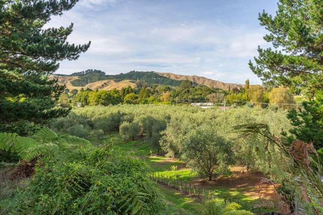 258 Waitohu Valley Road Otaki_3