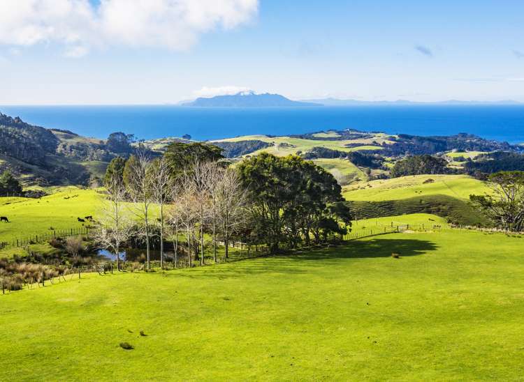 Lot 2 Rodney Road, Whangateau_0