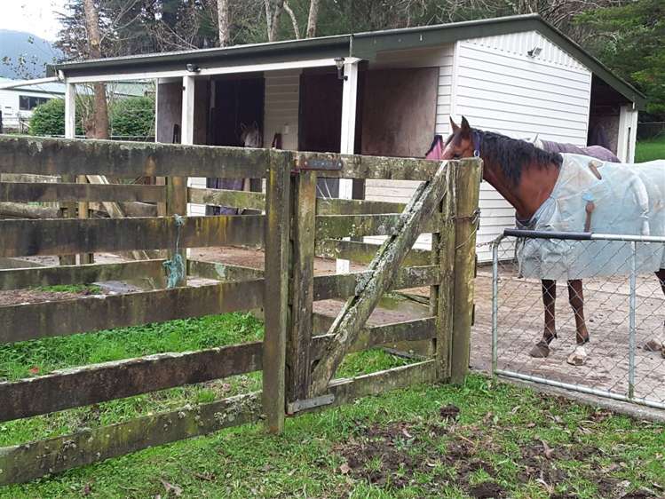 2013 Akatarawa Road Akatarawa Valley_56