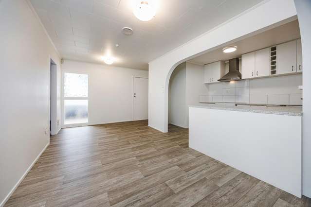 9 MCSHANE STREET Pukekohe_3