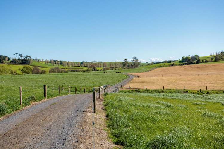 231A Morgan Road Matamata_7