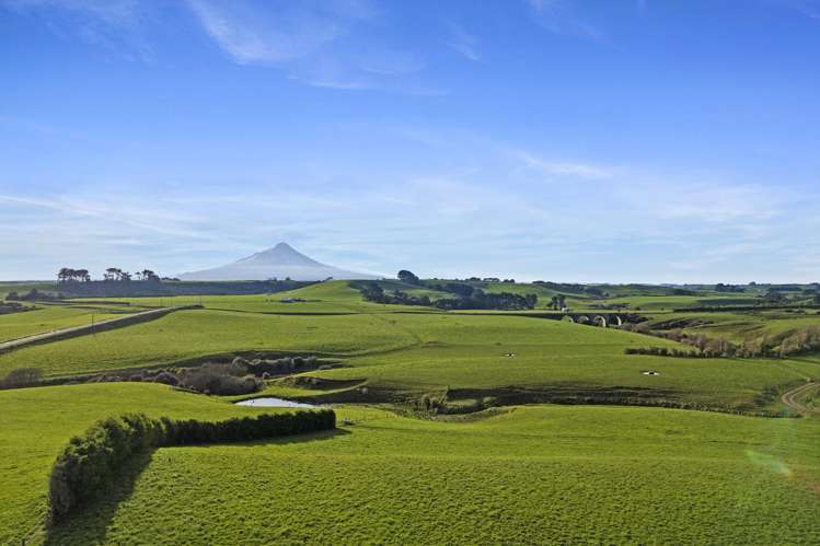 0n Skeet Road Te Roti_1