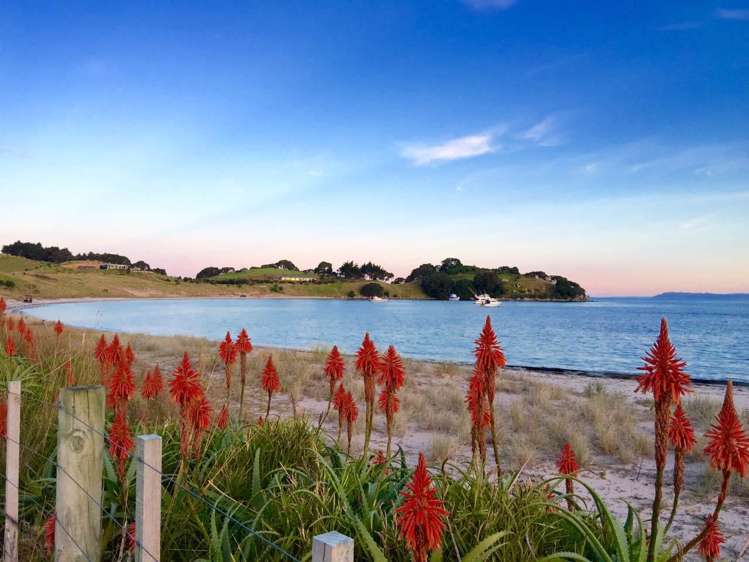 190 Pacific Ocean, Slipper Island (Whakahua) Thames_61