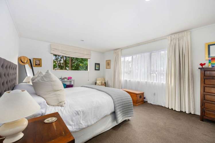 County Road Torbay_9