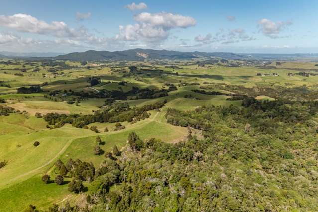 Church Road Kaitaia_1