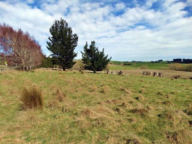 Koi Flat Road Clutha_1