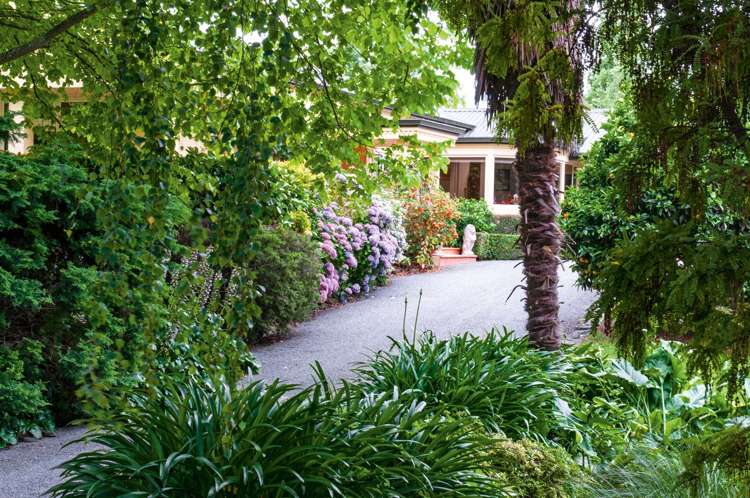 112 Odwyers Road Rapaura_33