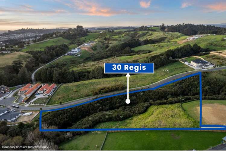 30 Regis Lane Flat Bush_2
