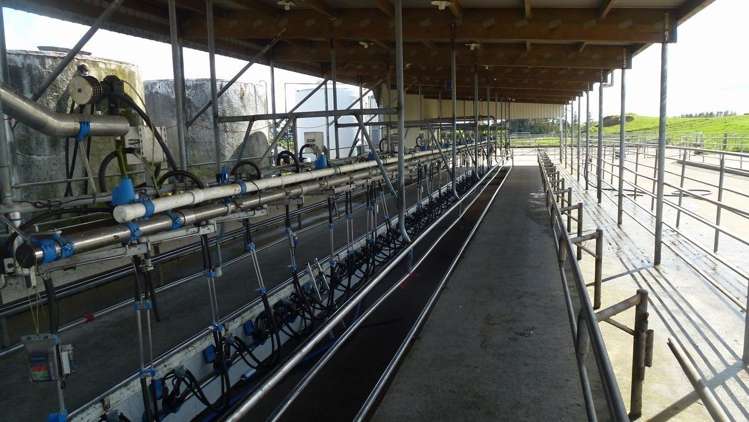 224 Croydon Road Midhirst_11