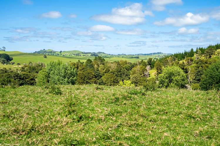 278 Griffin Road Maungaturoto_8