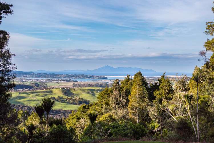 Lots 1 & 2 Carters Road West Mangawhai_7