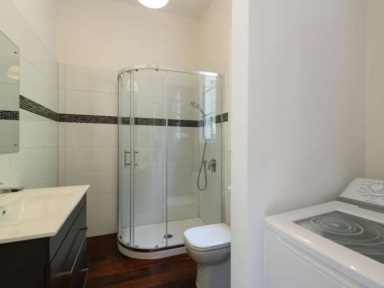 53 Norway Street Aro Valley_16