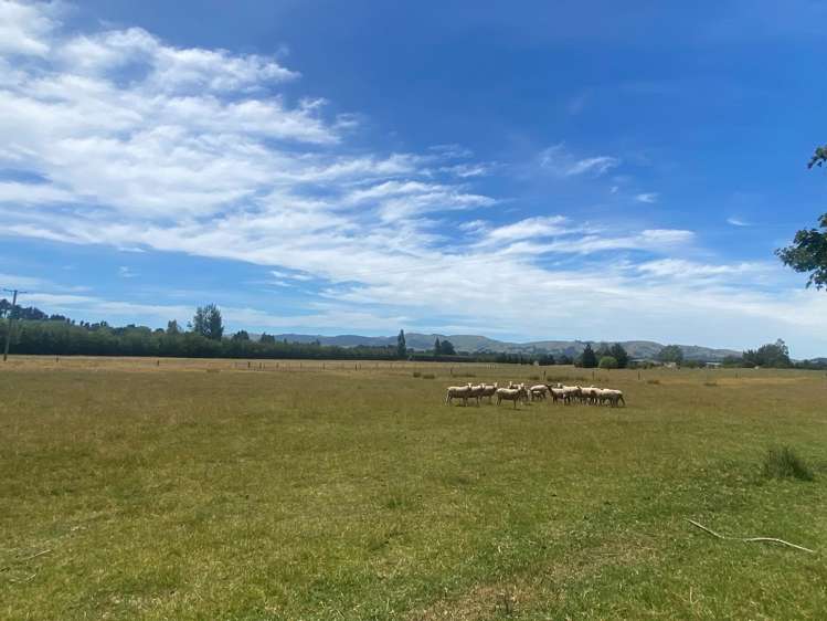 333 Munro Road Cheviot_26