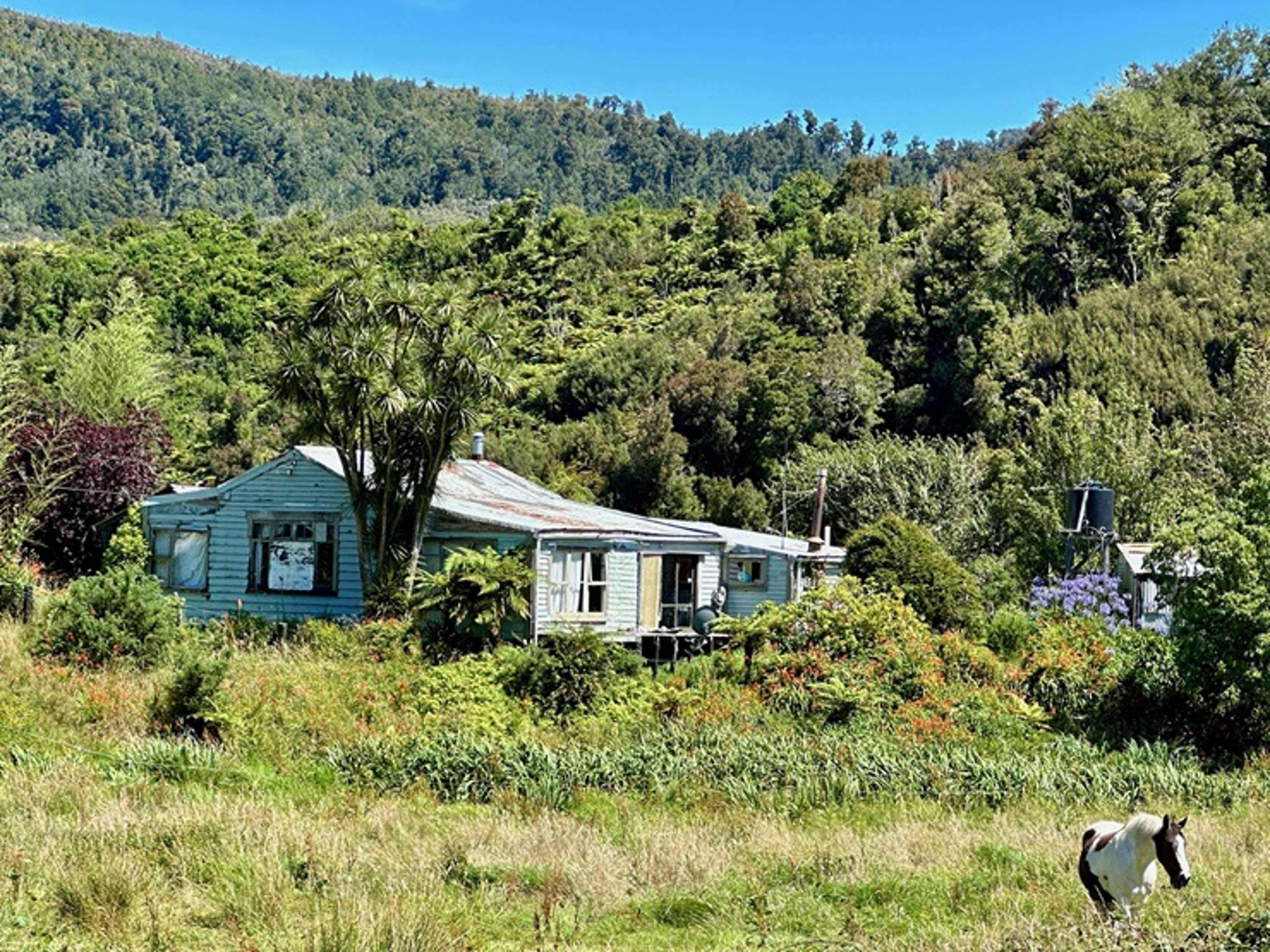 Californian ‘surfer dude’ offers to buy ‘munted’ house in Kiwi coal mining town