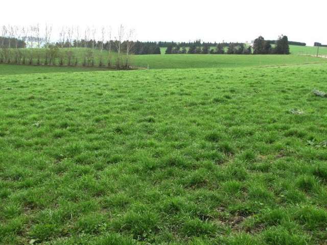 510 Glenkenich Road Gore Surrounds_3