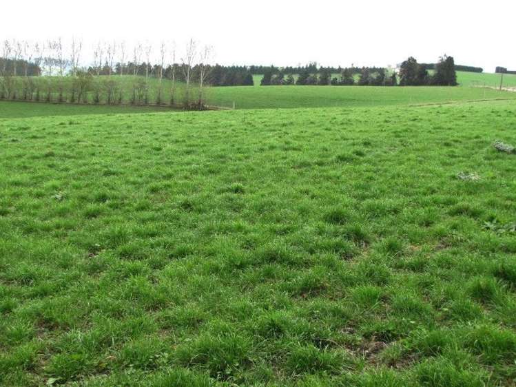 510 Glenkenich Road Gore Surrounds_3