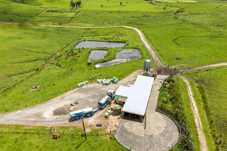 89 Jones Road Donnellys Crossing_17