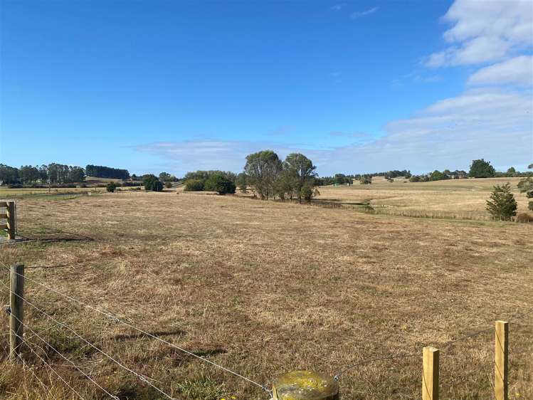 Taukoro Road Morrinsville_6