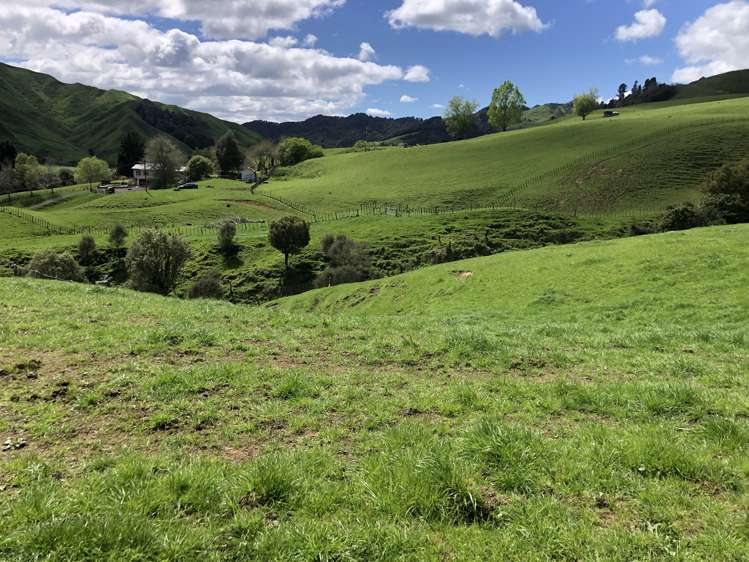 1041 Paparoa Road Whanganui National Park_1