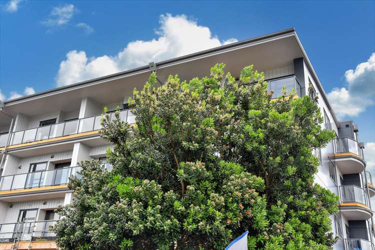 1n/83 New North Road Eden Terrace_9