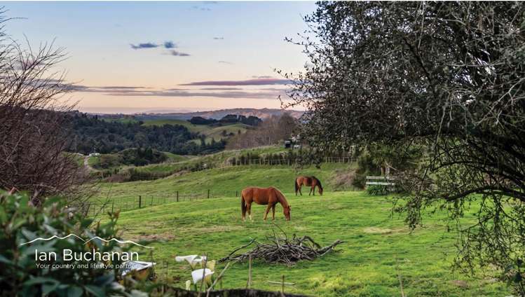 1755 Ponga Road Hunua_31